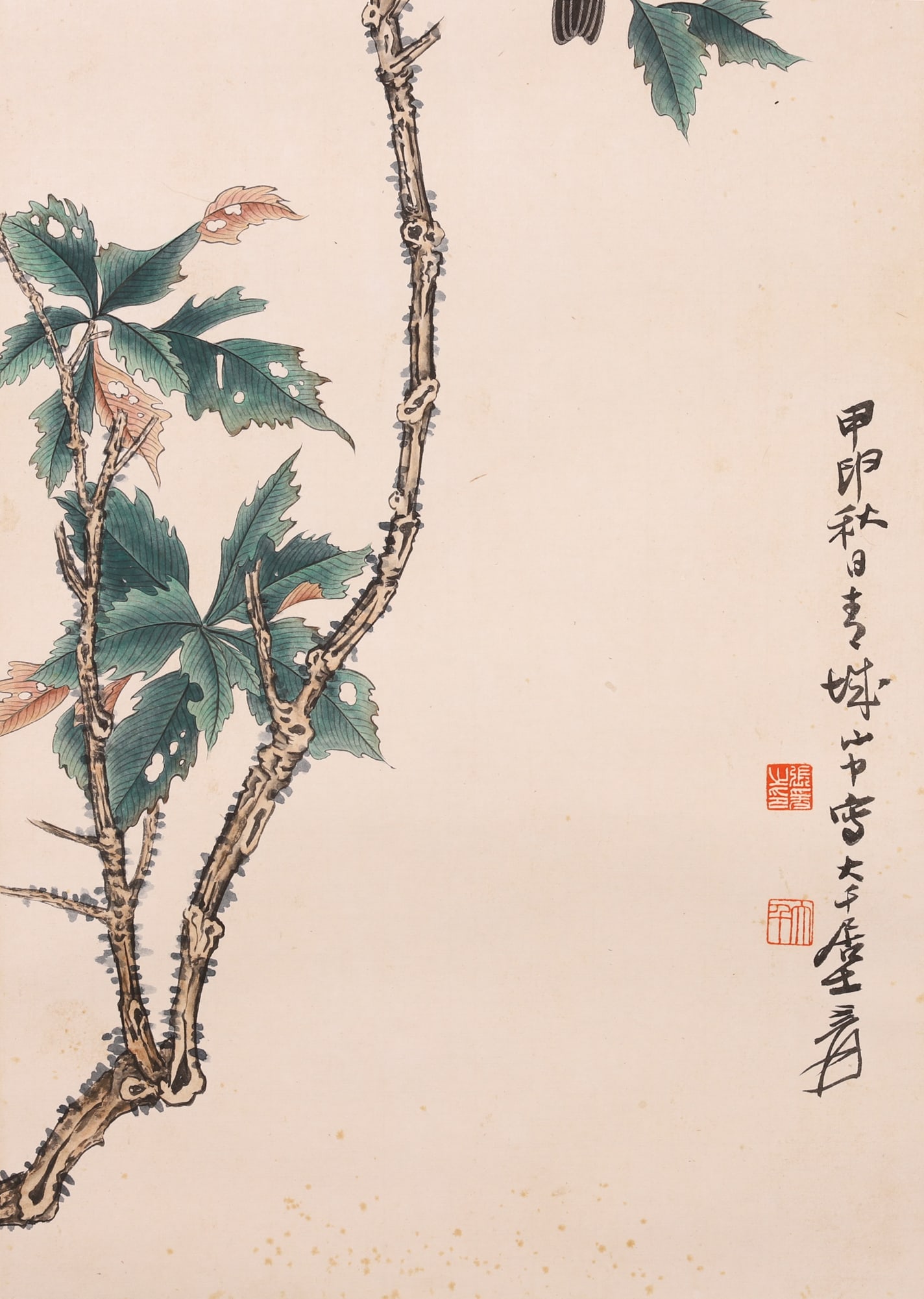 A Paper Color Painting "Bird on Branch" Signed Zhang Daqian, Modern Era - 4