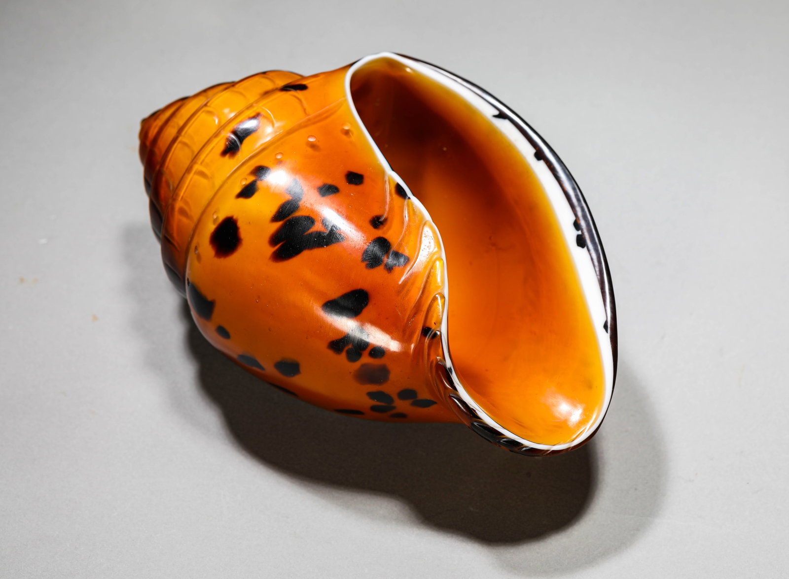 A Glass Conch Shell - 8