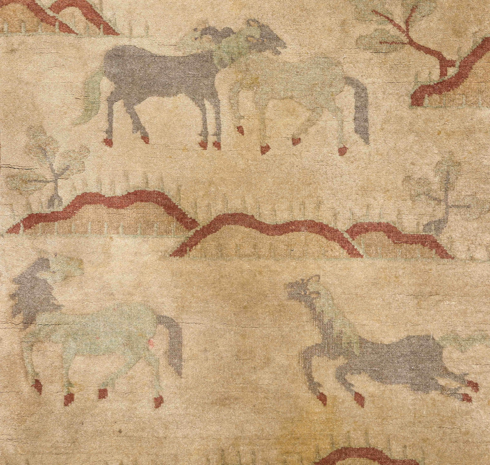 A Carpet - 3