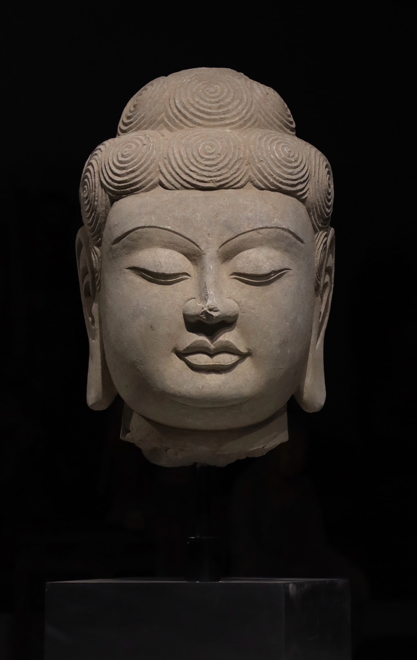 A Magnificent Giant Buddha Head,Tang Dynasty: Overall height with base: 75 cm, height of the figure: 47 cm. It has a full and plump face with spiral styled hair. The gentle round features