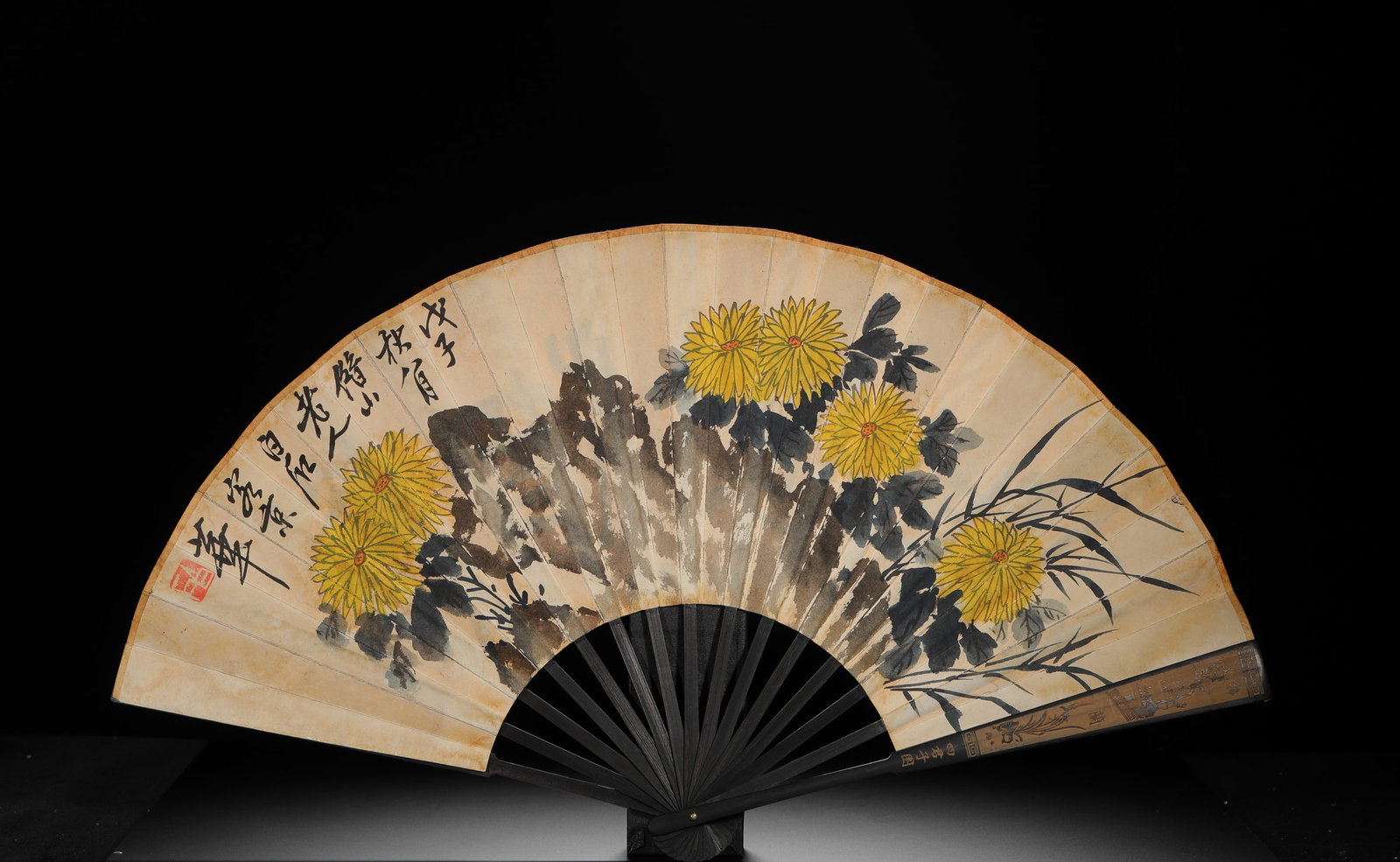 QI BAISHI CHRYSANTHEMUM WINE LONGEVITY PAINTING FINISHED FAN: Height:32cm(12.60in) Width:60cm(23.62in) Weight:90g(0.20lb)Folding fan with chrysanthemum and rock painting, paper ground with color ink, black wood ribs carved with four-season flower patterns. Front