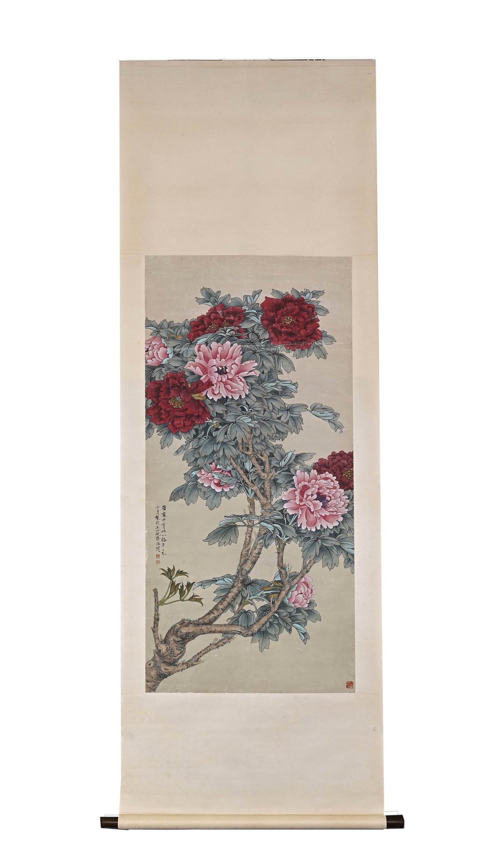HANGING SCROLL OF PEONIES, YU FEIAN: Image H 130cm (51.18 in); Image W 59cm (23.23 in),Hanging scroll, colour and ink on paper, meticulous painting of peonies. Ancient branches support blossoms in pink and crimson hues. Delicate outline 