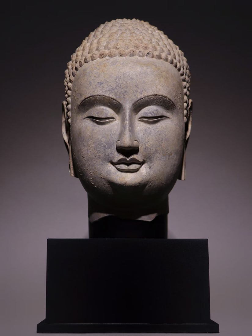 BLUESTONE BUDDHA HEAD, NORTHERN QI DYNASTY (550?C577 AD): H 26cm (10.24 in); Overall H 39cm (15.35 in),Carved bluestone Buddha head with tightly arranged spiral curls atop the cranial protuberance. The full, serene face features downcast eyes and elongated e