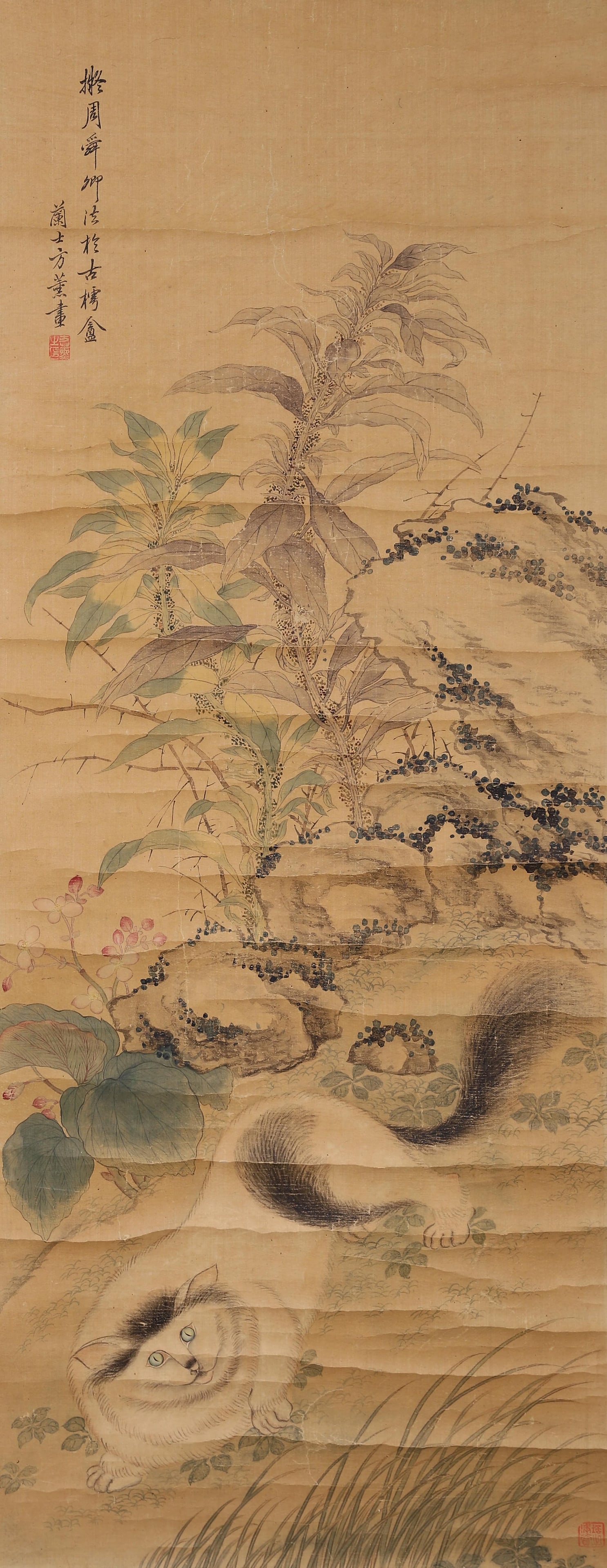 Cat Among Plants, Hanging Scroll On Silk, Fang Xun 1736-1799 (Qing Dynasty) (1 of 8)