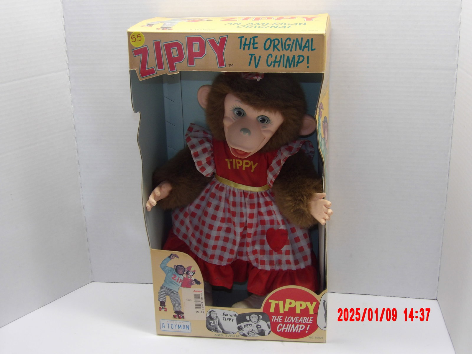 Zippy The Chimp Tippy Doll: 1989 "A Toyaman Enterprises" , Still in Original Box Unopened, Great Condition