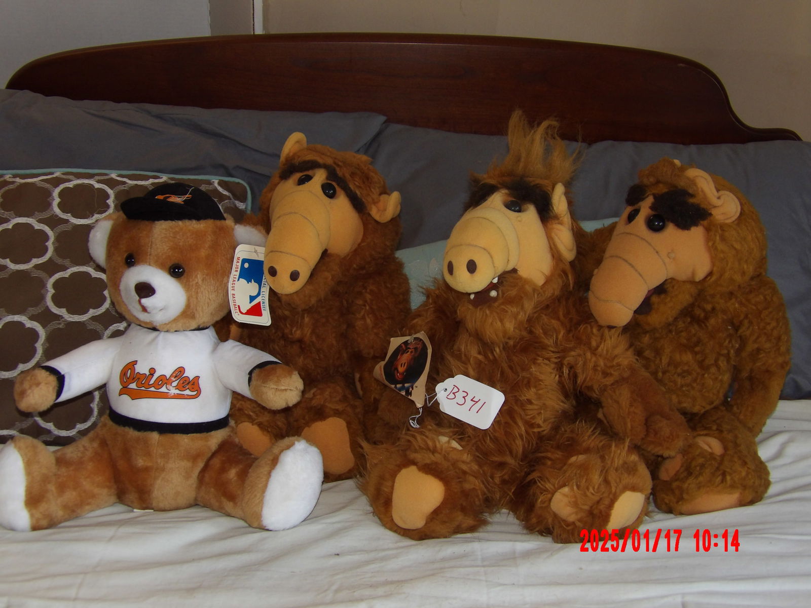 Assorted Stuffed Toys (1 of 1)