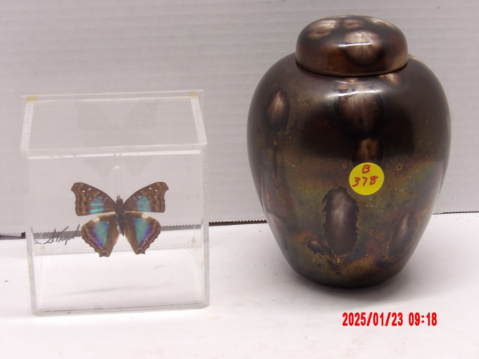 Vintage Hand Made Ceramic Japanese Pottery Jar w/ Lid, Doxocopa Lavinia in Clear Square Casing (1 of 1)