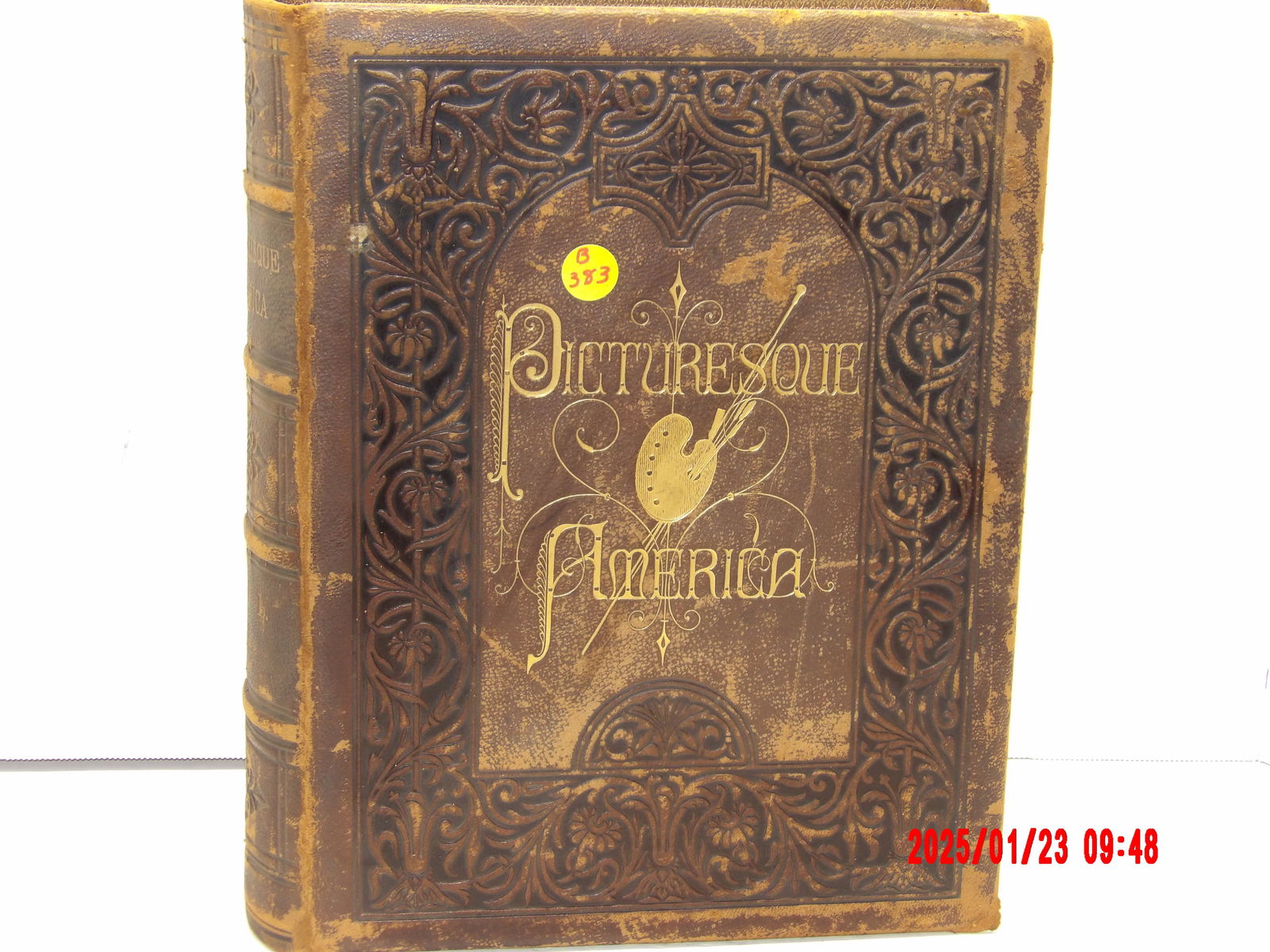 Vintage Picturesque America by William C. Bryant (1 of 4)