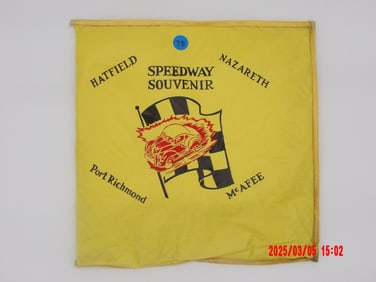 Vintage Speedway Souvenir Flag Seat Cushion