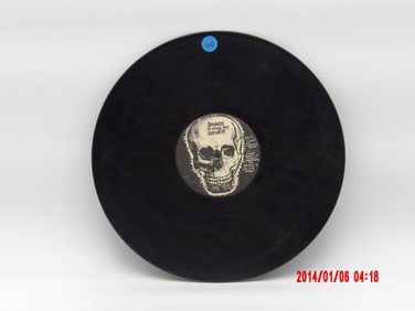 SOUNDS TO MAKE YOU SHIVER PICTURE RECORD VINYL