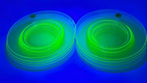4 PC - Pioneer Pattern Green Uranium Plates