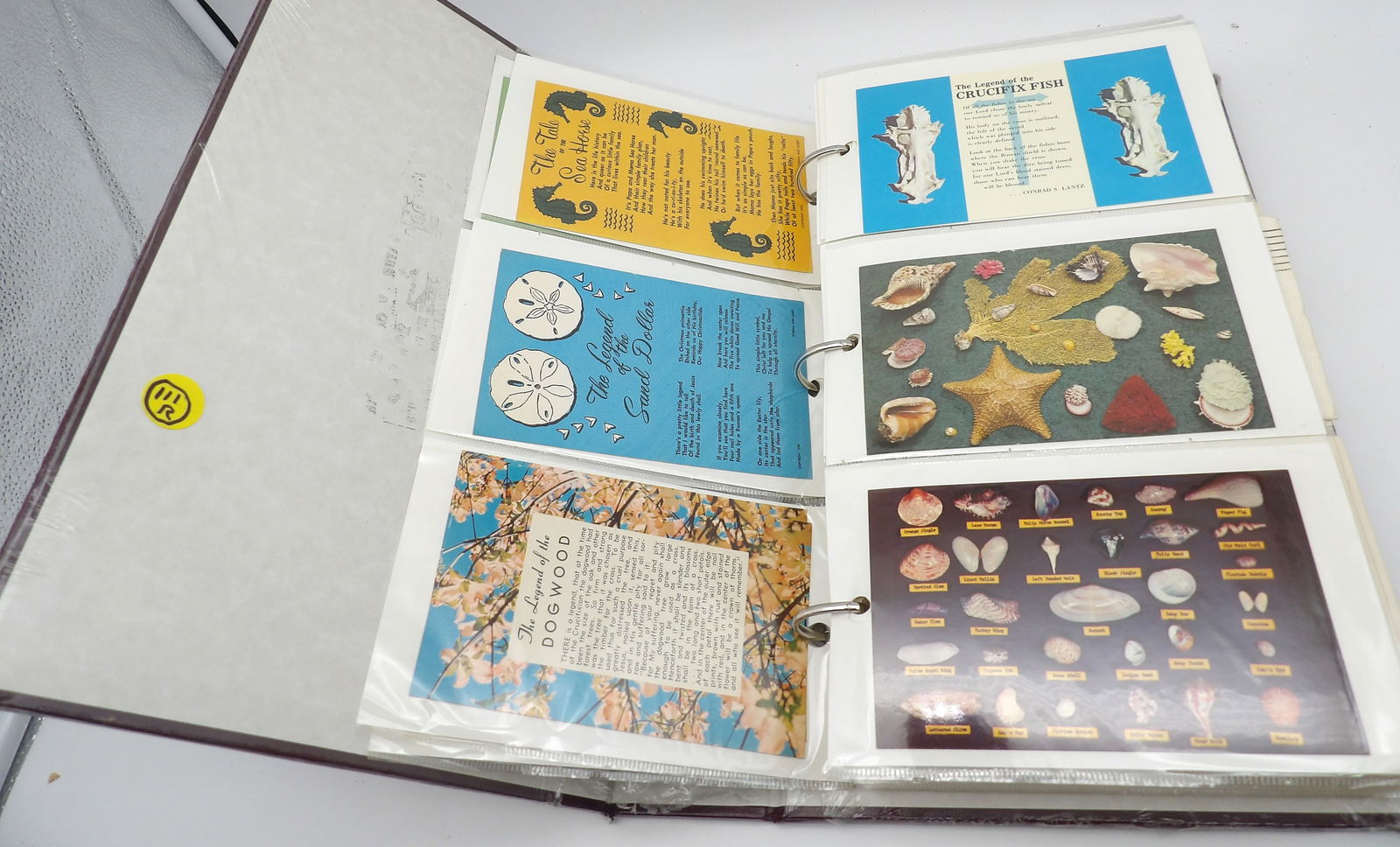 VINTAGE POSTCARD LOT (APPROX. 288) (1 of 10)