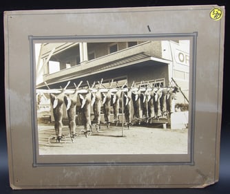 VINTAGE DEER DRESSING PHOTO, ANTIQUE MUSICAL INSTRUMENTS (UNDER GLASS / NO FRAME)