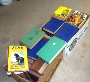 55 Vintage Hardcover Books