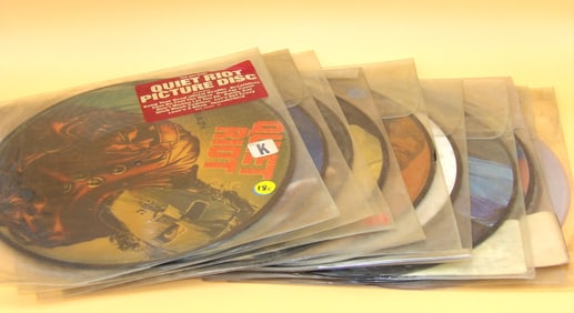 Picture Disc Vinyl Records (10)