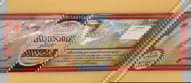 Electric Blues Box Slide Guitar