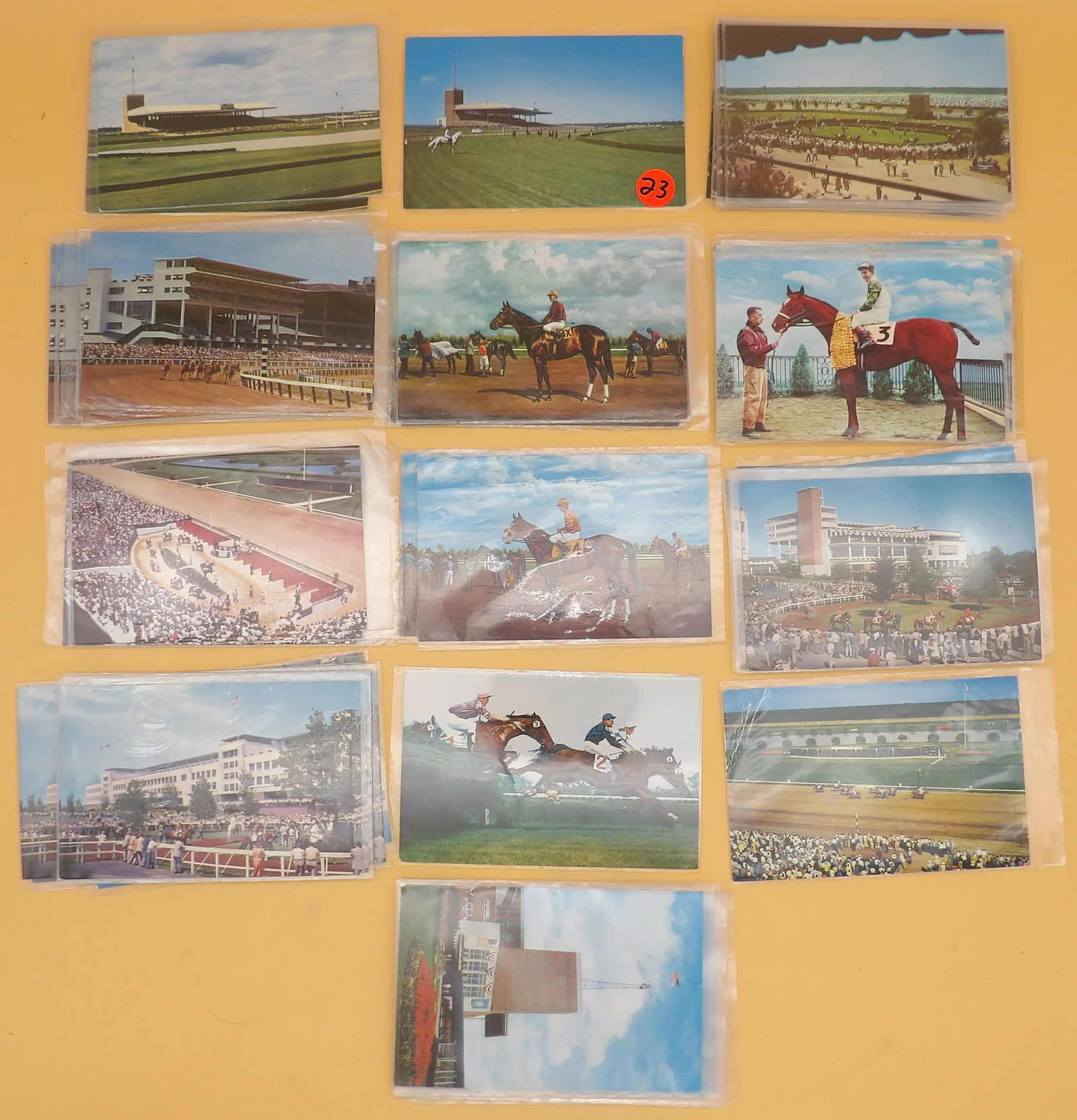 Vintage Horse Racing Postcards (65) - Atlantic City, more: This collection of 65 vintage 1950's Horse Racing postcards includes images from Atlantic City Race Course, Monmoith Park (Oceanport NJ), and Garden State Park (Delaware Township NJ). Many doubles of