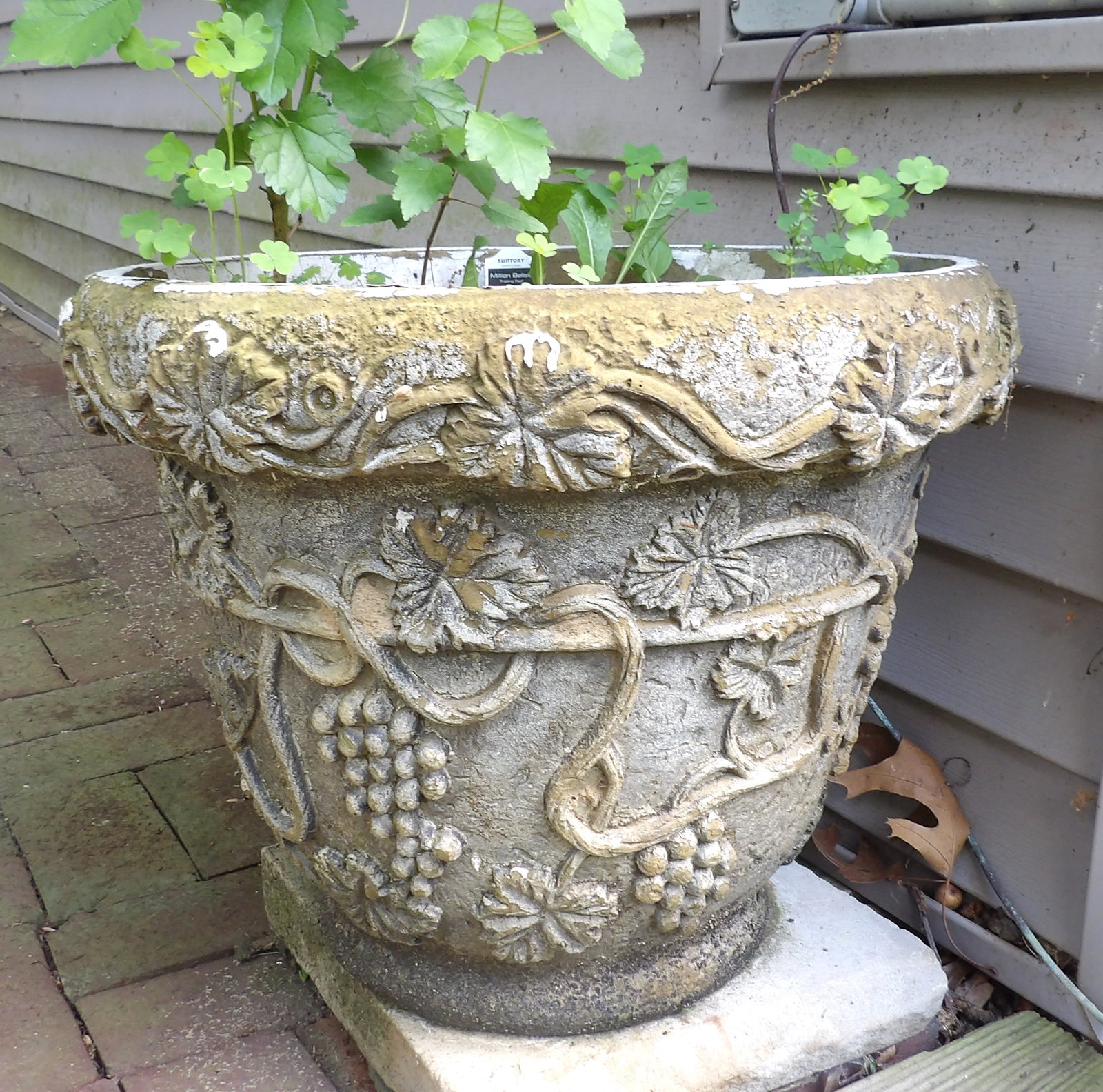 Concrete Jardinier Planter: This lot features a Concrete Jardinier Planter. NO SHIPPING ON THIS ITEM - PICK UP ONLY