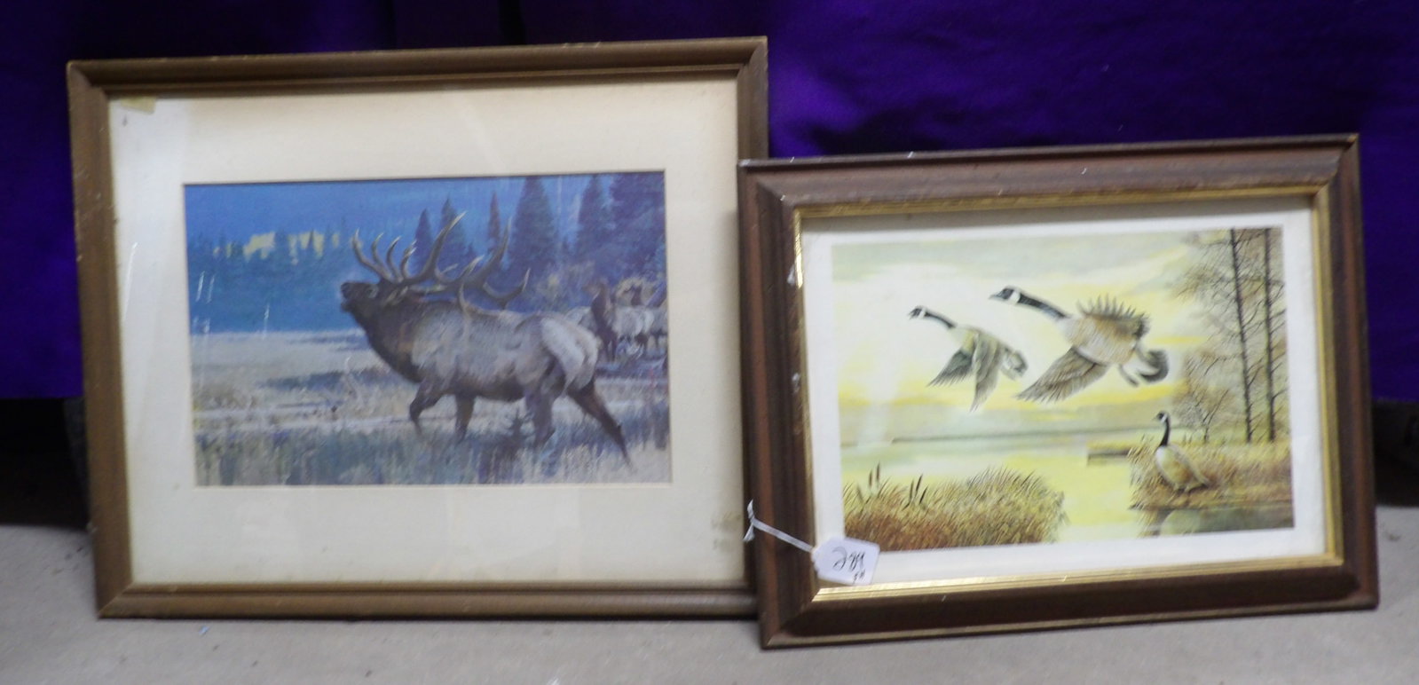 Framed Wildlife Art Prints (2): This pair of framed wildlife art prints includes a depiction of bull elks (possibly by Kuhn) and "Taking Flight Canada Geese" by Rosemary Milette. Measures approx 15" x 19" and 12.5" x 16.5". NO