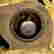 item-130829892=4