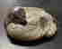 item-130829989=4