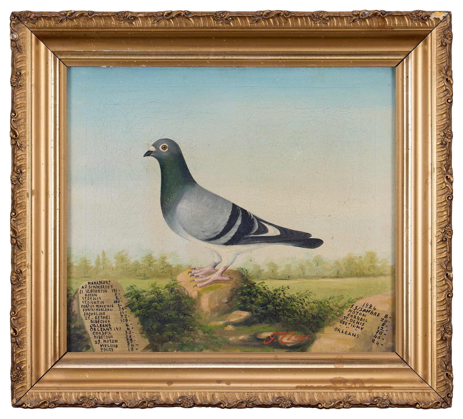 AN EARLY 20TH CENTURY PAINTING OF A RACING PIGEON: AN EARLY 20TH CENTURY PAINTING OF A RACING PIGEON in the style of Andrew Beer, the sporting painting depicting a carrier or racing pigeon, oil on canvas, signed Gmo. Close, 1924, with a list of variou