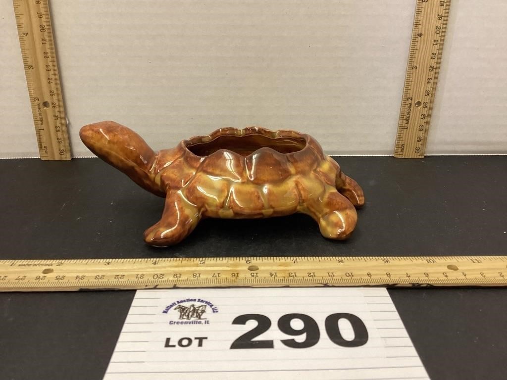 MCCOY BROWN TURTLE (1 of 3)
