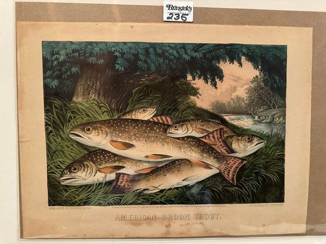 American Brook Trout Currier & Ives, Sm. Folio, unframed (1 of 1)
