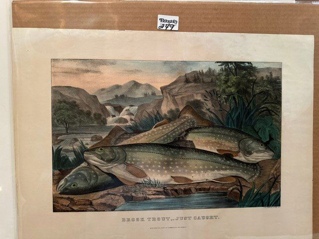 Brook Trout Just Caught Currier & Ives, Med. Folio, unframed (1 of 1)