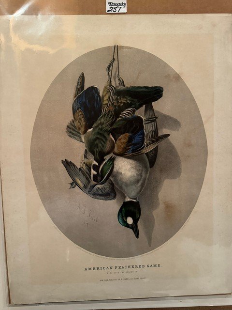 American Feathered Game Wood Duck & Golden Eye N Currier, Med. Folio, unframed (1 of 1)