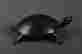 item-129537283=3