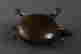 item-129537283=4