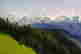 item-131417668=3