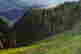 item-131417668=4