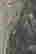 item-131417723=5