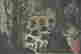 item-131417723=6