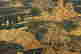 item-131417825=9