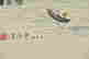 item-131417851=4
