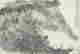 item-131417917=9