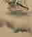 item-136086382=5