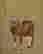 item-137189559=11
