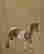 item-137189559=14