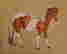 item-137189559=16
