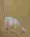 item-137189559=19