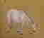 item-137189559=20