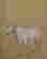 item-137189559=6