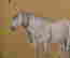 item-137189559=7