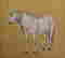 item-137189559=8