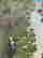 item-130531916=6