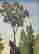 item-130531916=7
